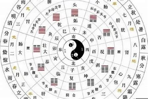 丙子日柱配偶|合八字 丙子日柱配偶命数特征 地支为子幽默风趣